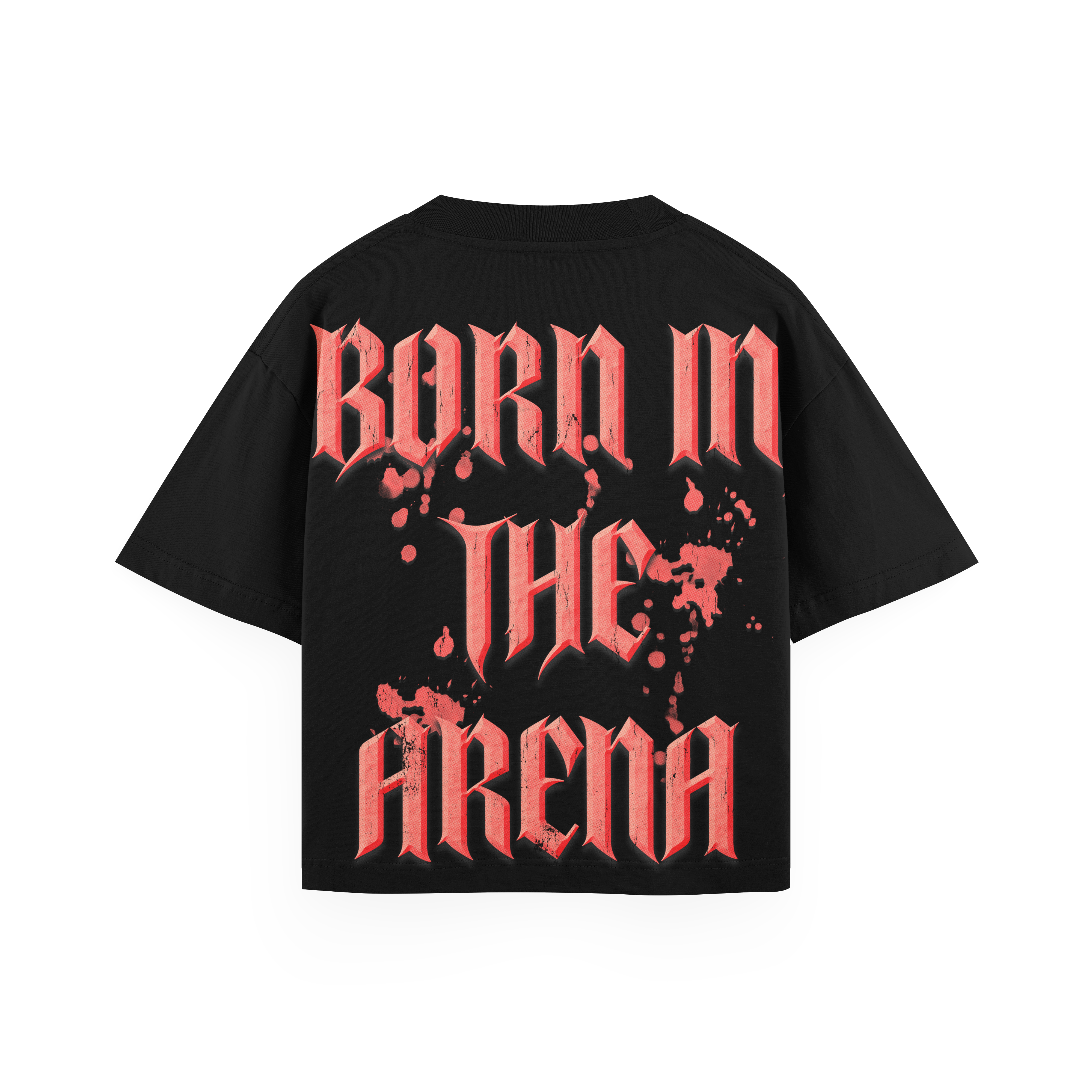 Spartan Oversized Heavyweight T-Shirt