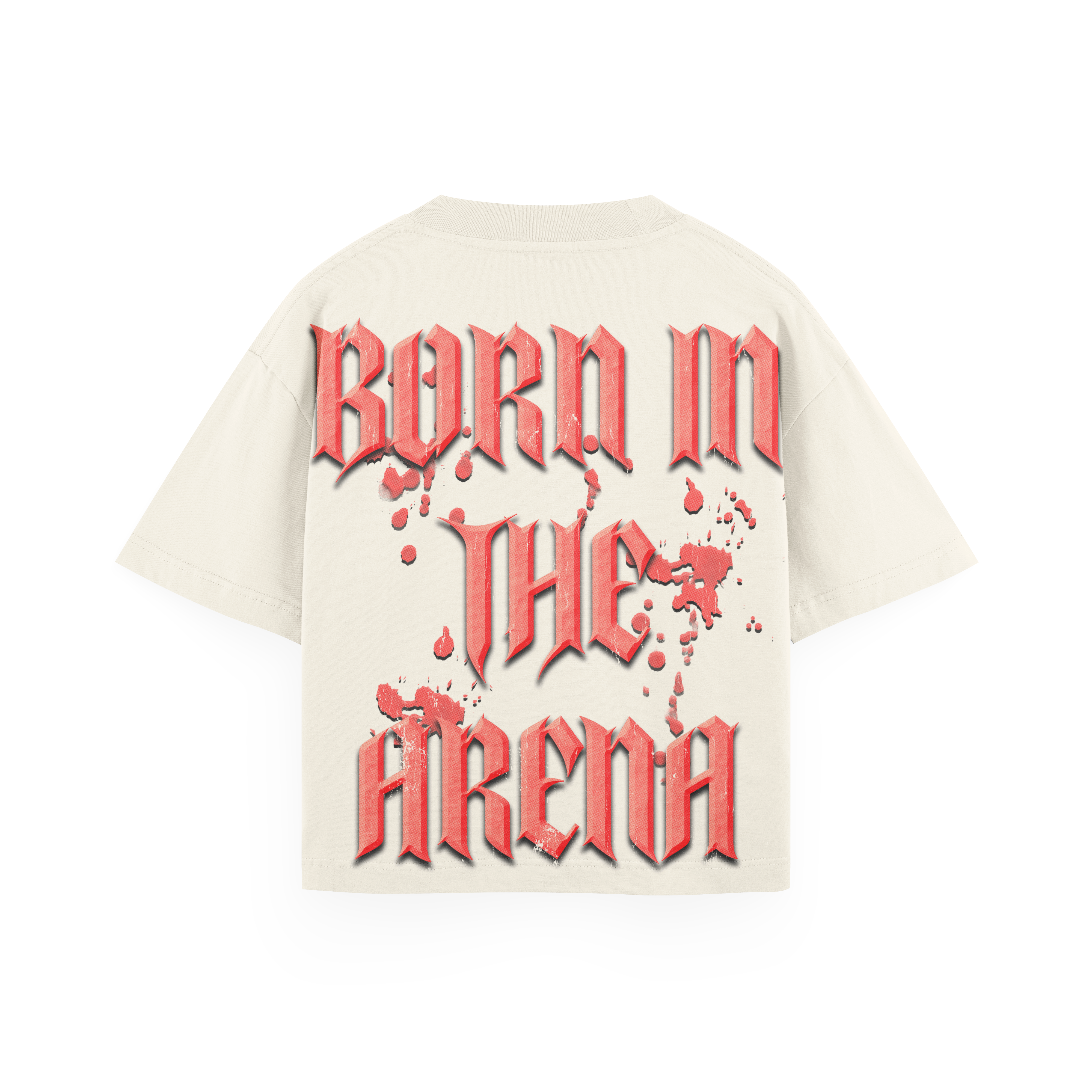 Spartan Oversized Heavyweight T-Shirt