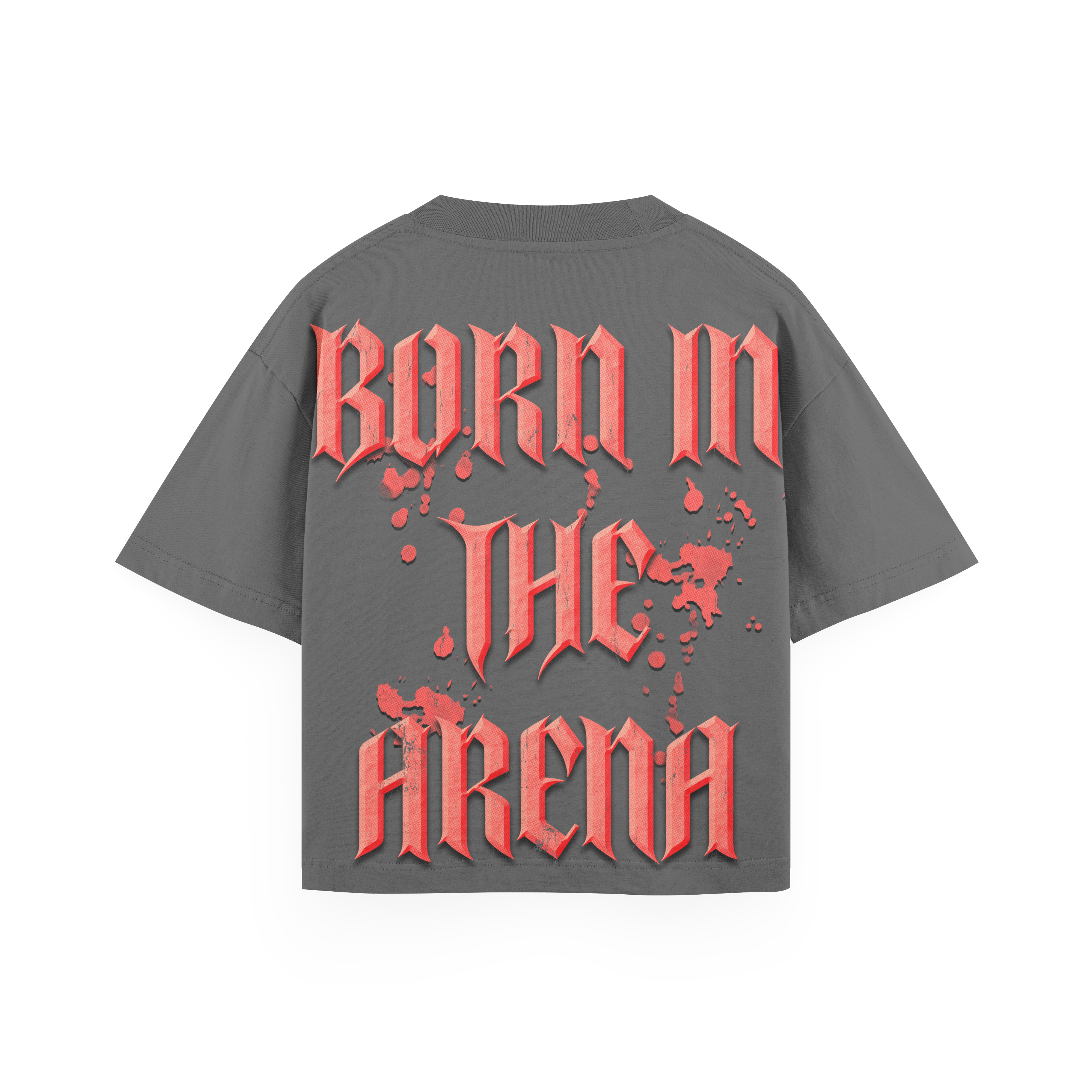 Spartan Oversized Heavyweight T-Shirt