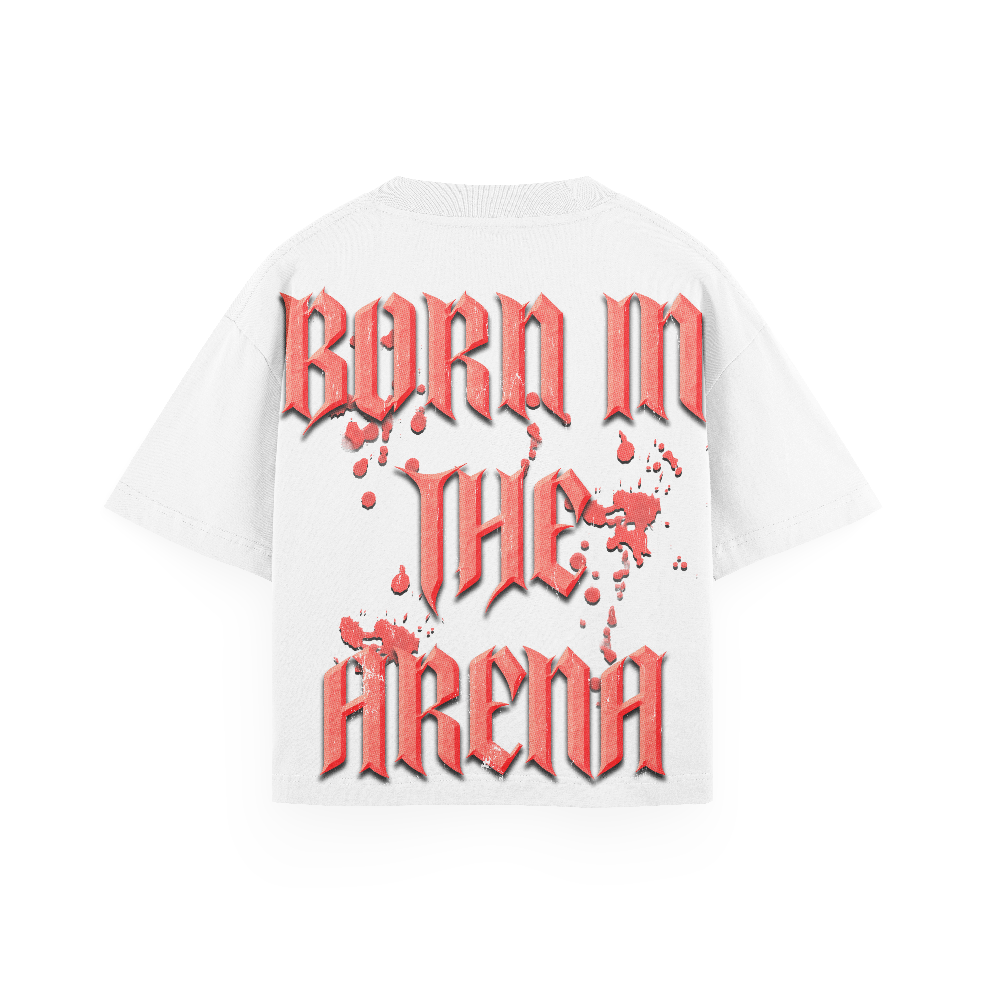 Spartan Oversized Heavyweight T-Shirt